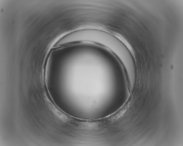 X0000081450996200701261908