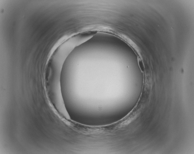 X0000081450997200701261908