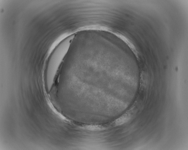 X0000081450998200701261908