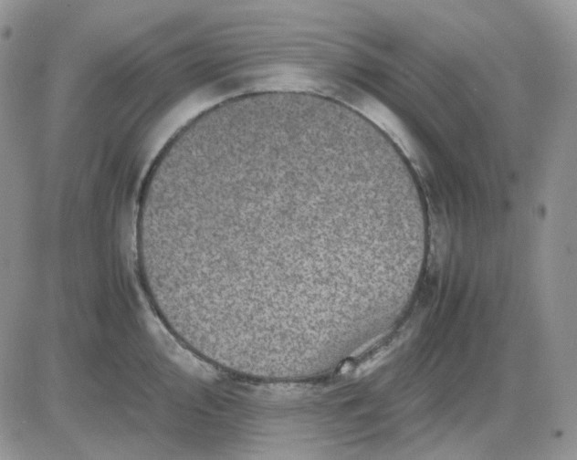 X0000081451000200701261908