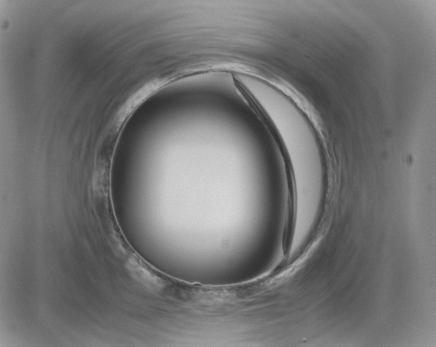 X0000081451001200701261908