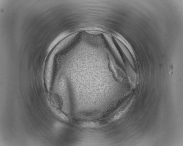 X0000081451002200701261908