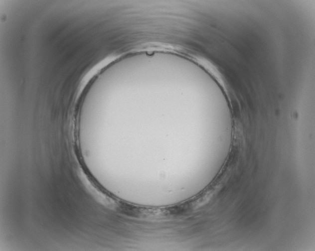 X0000081451003200701261908