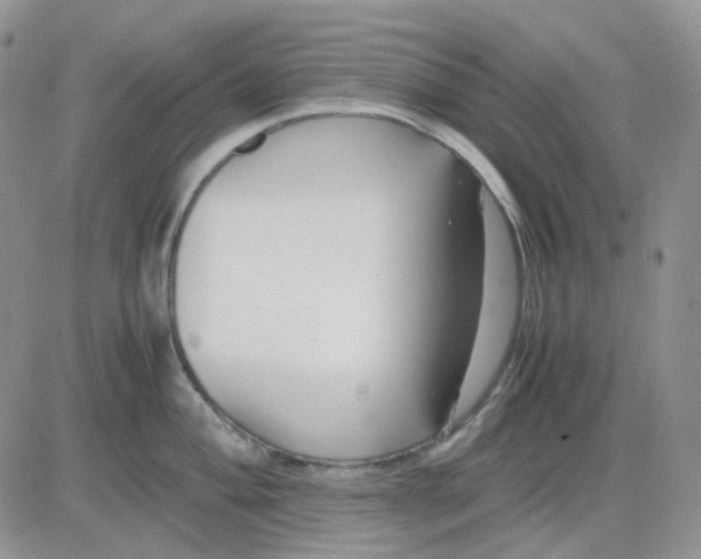 X0000081451004200701261908