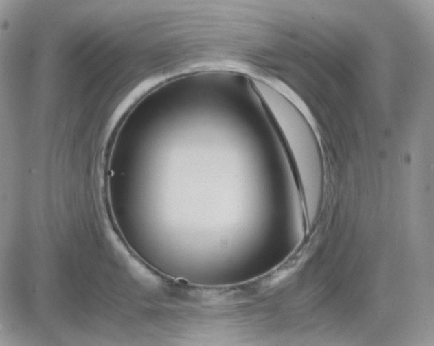 X0000081451005200701261908