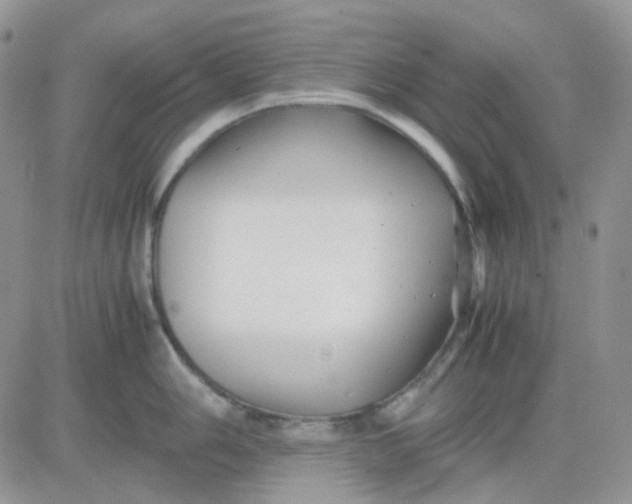 X0000081451006200701261908