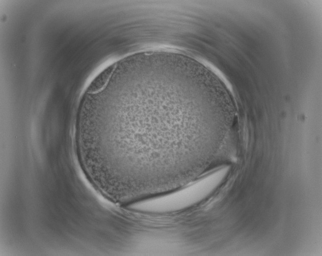 X0000081451007200701261908