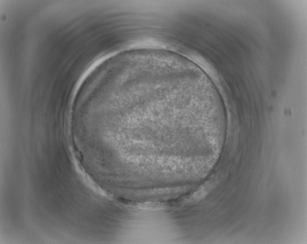 X0000081451008200701261908