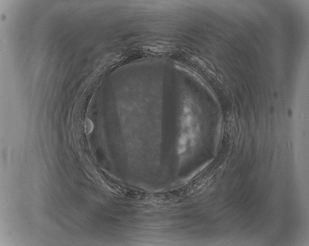 X0000081451009200701261907