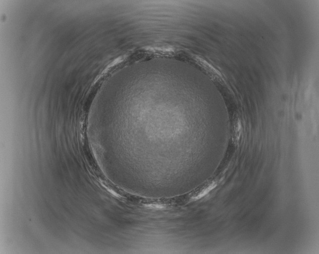 X0000081451010200701261907