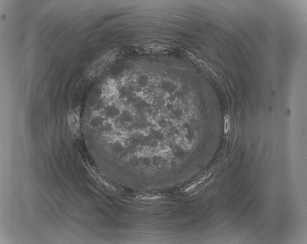 X0000081451011200701261907