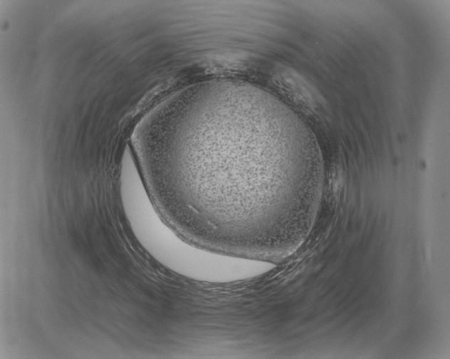 X0000081451012200701261907