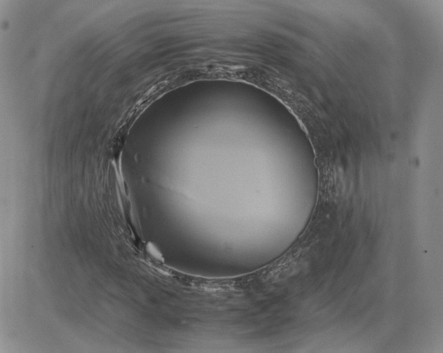 X0000081451013200701261907