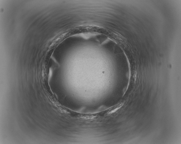 X0000081451014200701261907