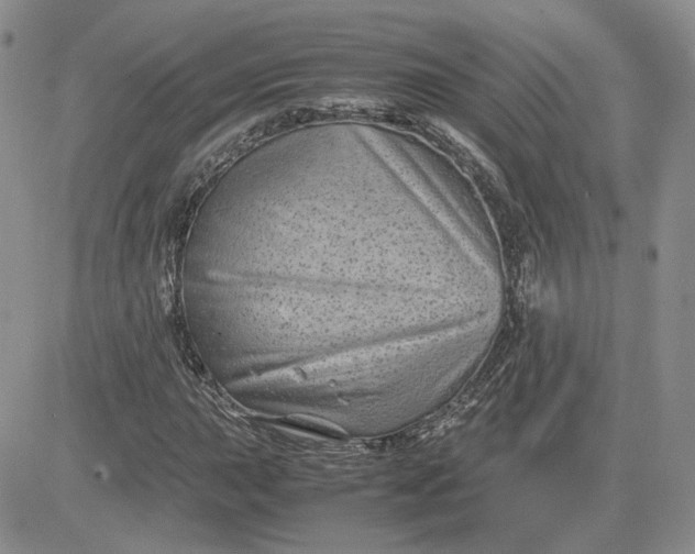 X0000081451015200701261907