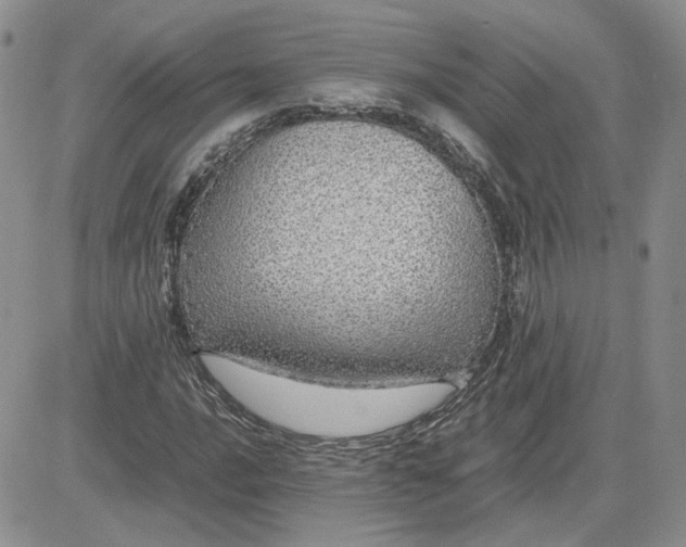 X0000081451016200701261907