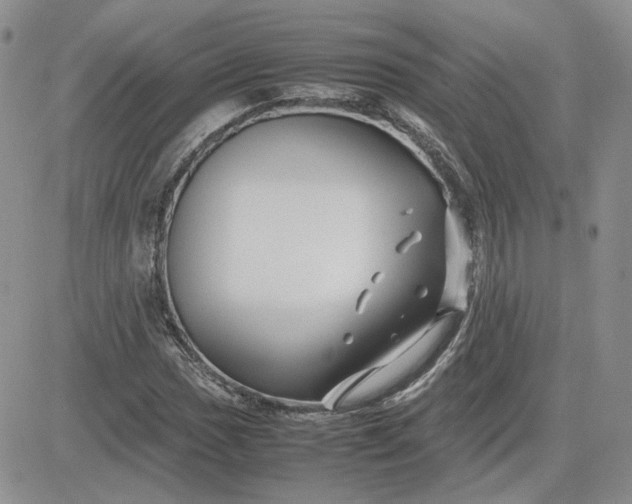 X0000081451017200701261907