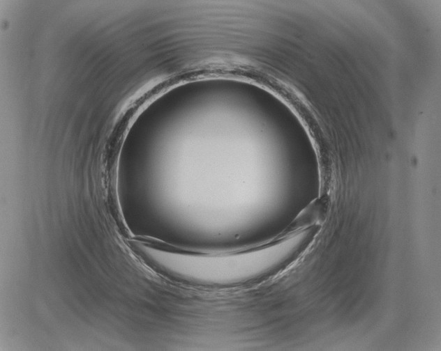 X0000081451018200701261907