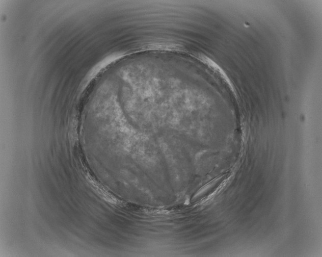 X0000081451019200701261907