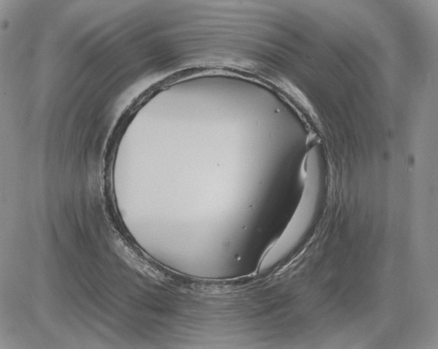 X0000081451020200701261907