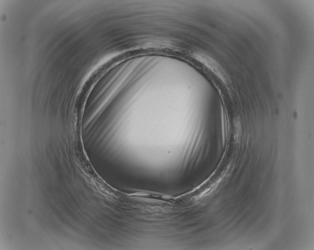 X0000081451021200701261907