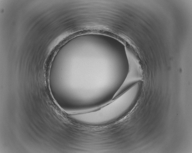 X0000081451022200701261907