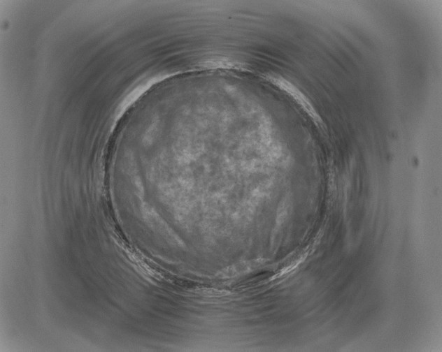 X0000081451023200701261907