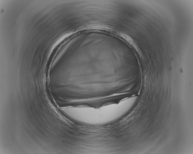 X0000081451024200701261907