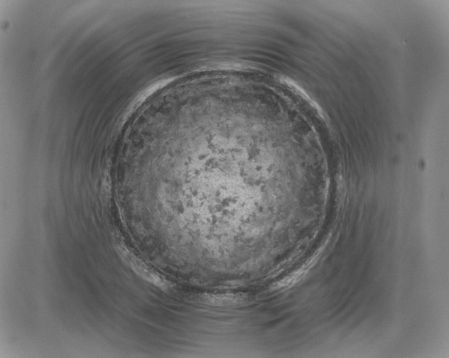 X0000081451025200701261907