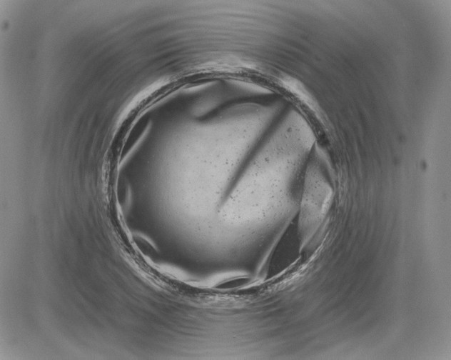 X0000081451026200701261907