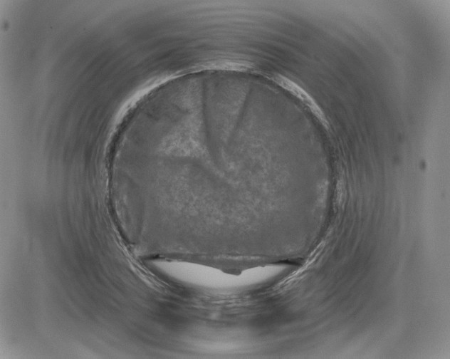 X0000081451027200701261907