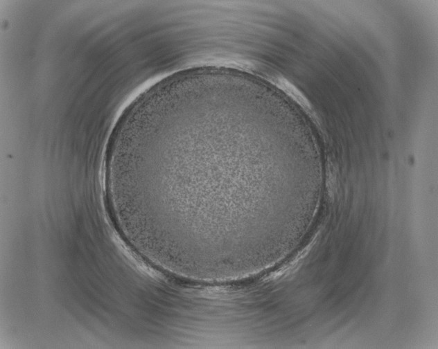 X0000081451028200701261907