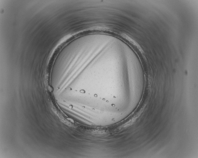 X0000081451029200701261907