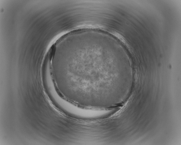 X0000081451030200701261907