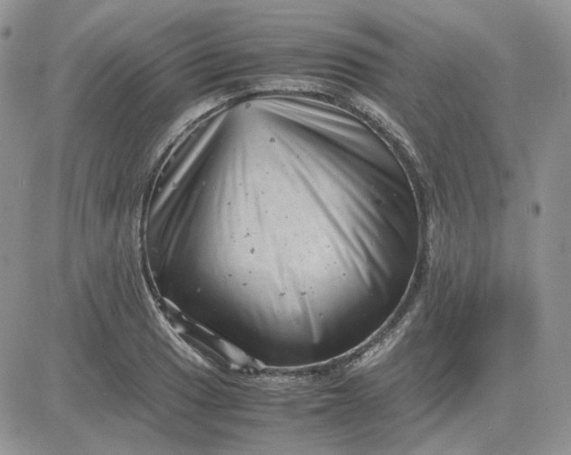 X0000081451033200701261907