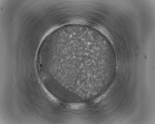 X0000081451037200701261907