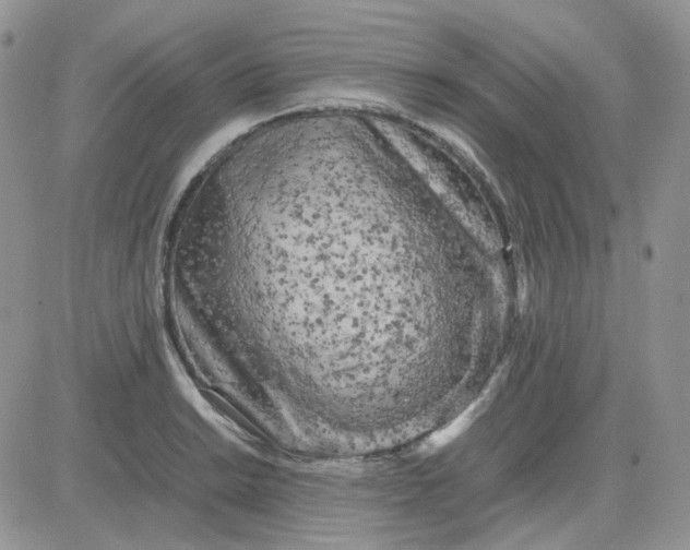 X0000081451038200701261908