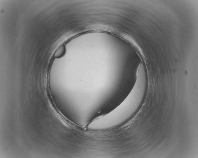 X0000081451040200701261908