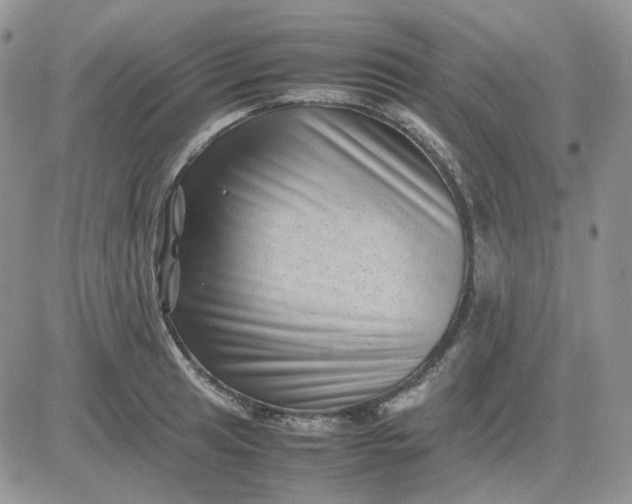 X0000081451041200701261908