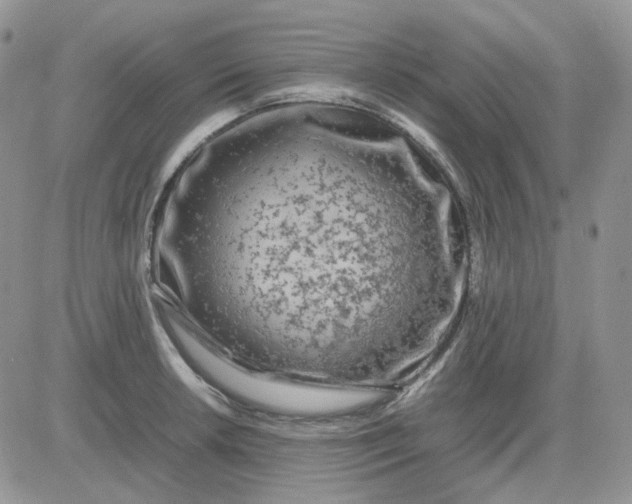 X0000081451042200701261908