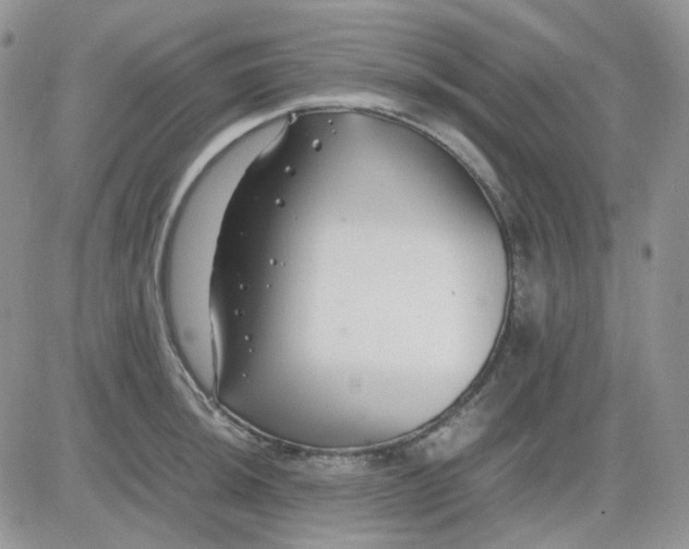 X0000081451044200701261908