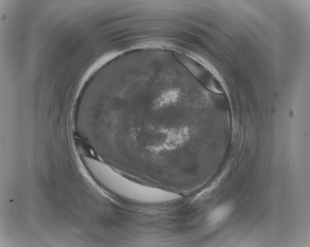 X0000081451045200701261908