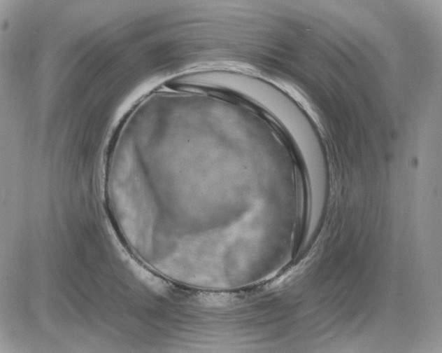 X0000081451046200701261908