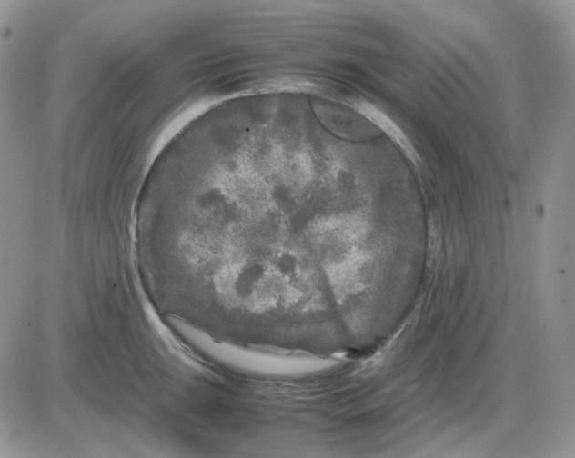 X0000081451047200701261908