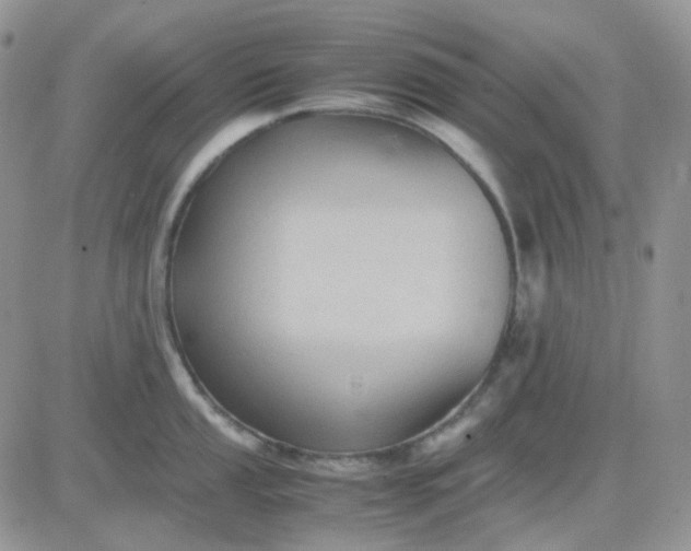 X0000081451053200701261908