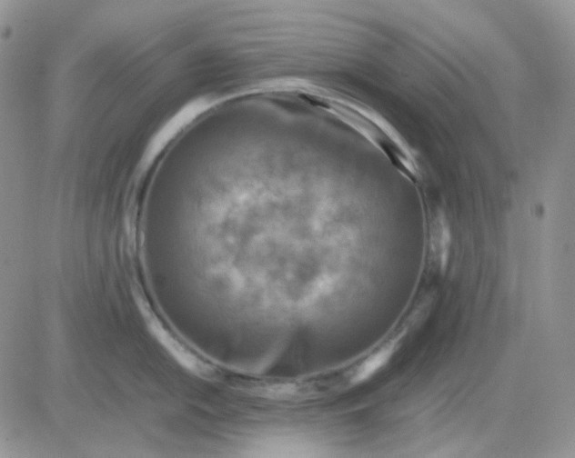 X0000081451054200701261908