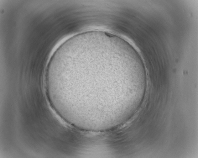 X0000081451056200701261908