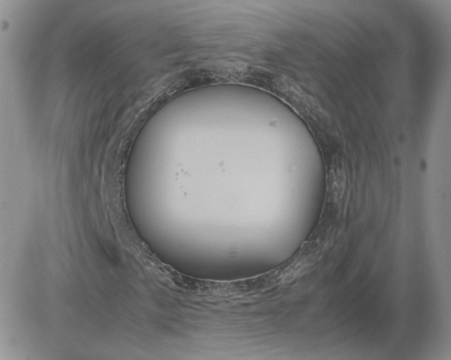 X0000081451057200701261907