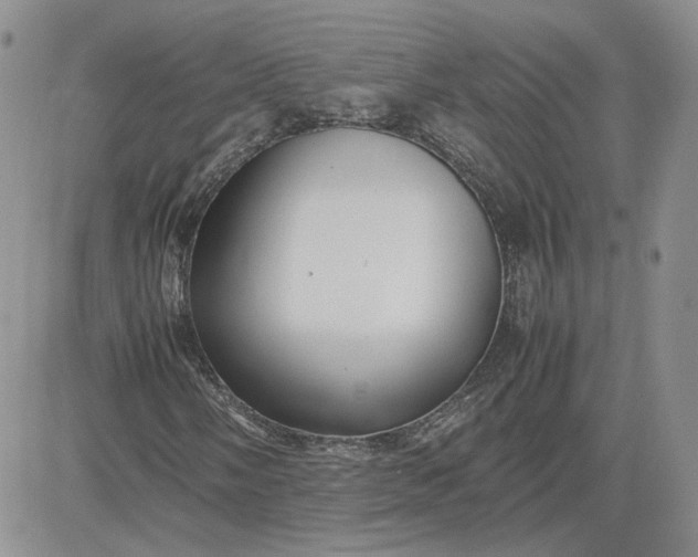 X0000081451058200701261907