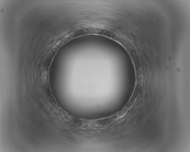 X0000081451061200701261907